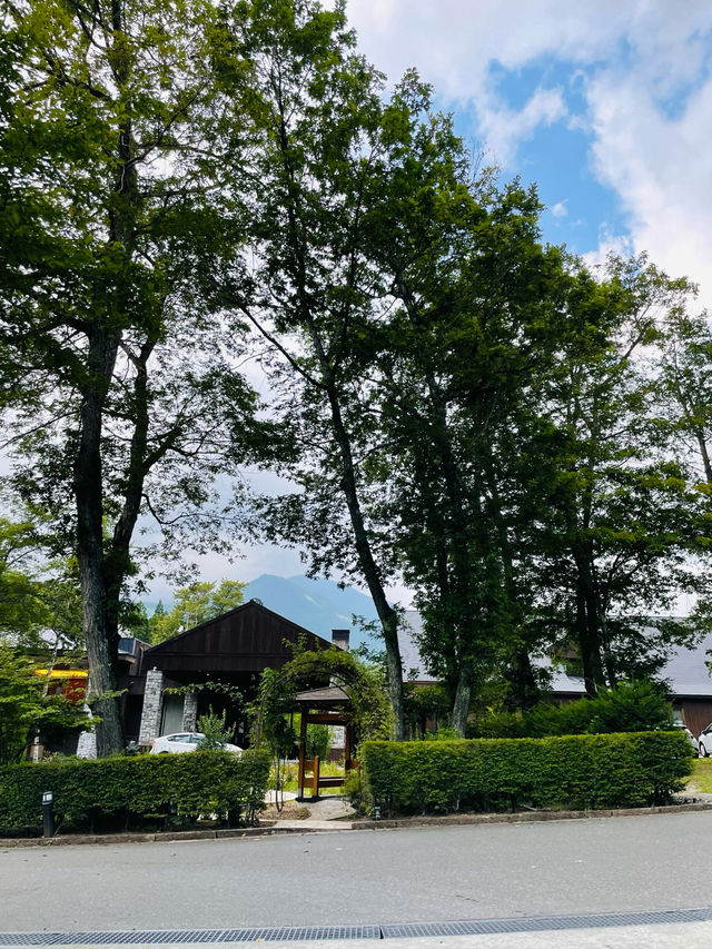 【長野県:白馬エリア】大人も子供も大満足の高原リゾート