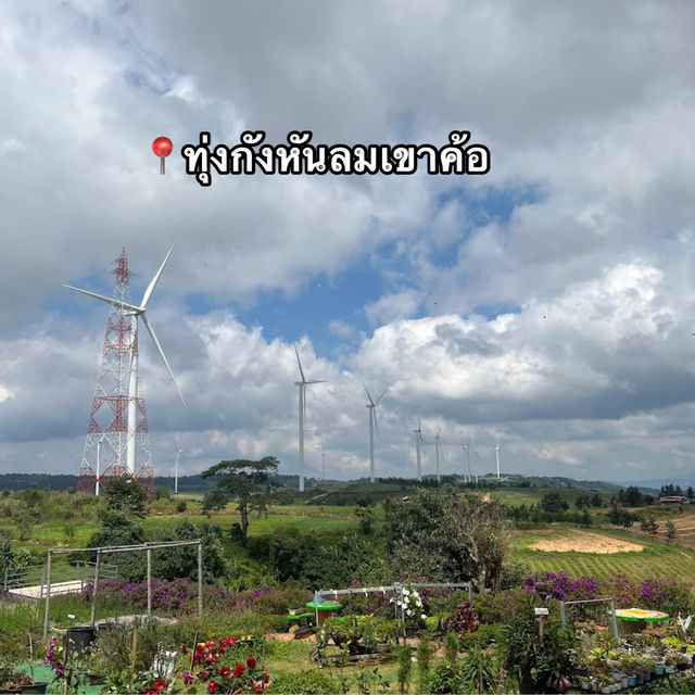 📍ทุ่งกังหันลมเขาค้อ