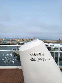 사진찍기 좋은 어달항 아침햇살정원