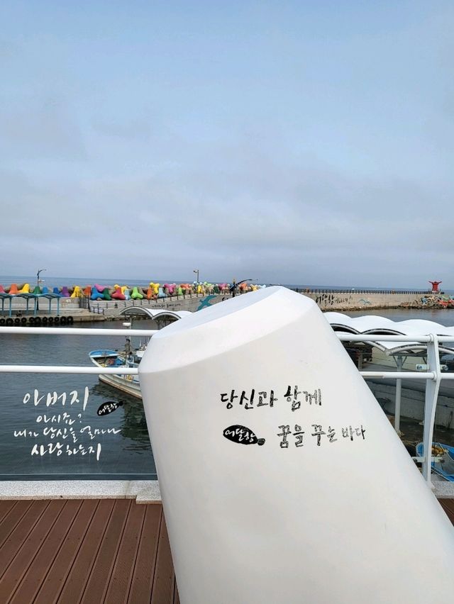 사진찍기 좋은 어달항 아침햇살정원