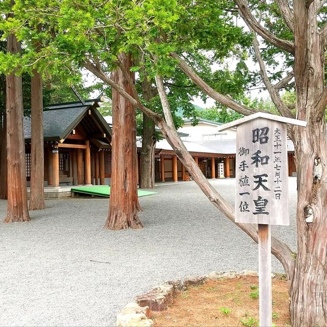 札幌景點｜日本最北第一神社北海道的守護神—北海道神宮