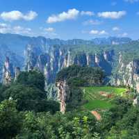 The Mystical Beauty of Zhangjiajie National Forest Park 