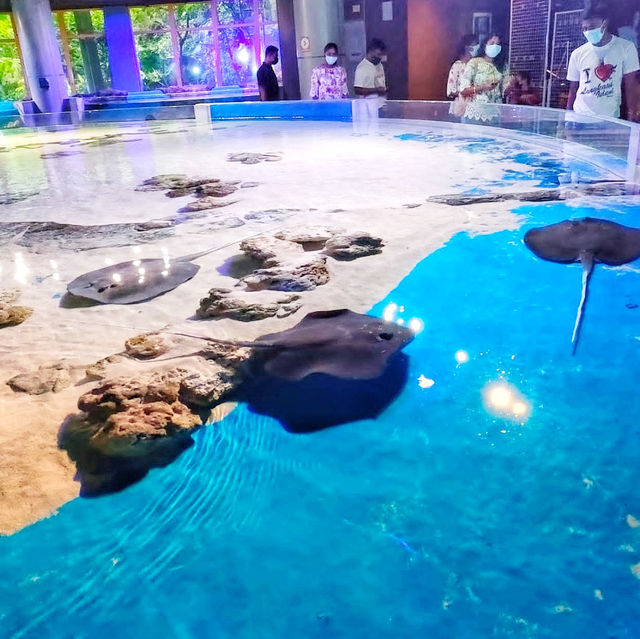 🇲🇾 Underwater World Langkawi: Your Gateway to Ocean Adventures