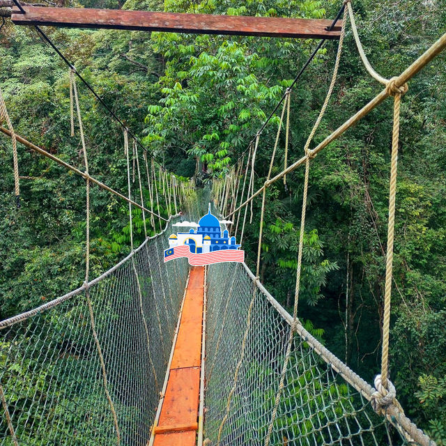 🇲🇾 Venture into Malaysia’s Ancient Taman Negara Forest