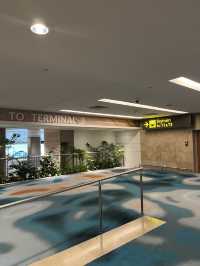 싱가포르 창이공항 경유 환승 후기