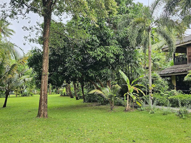 📍Centara Koh Chang Tropicana Resort 