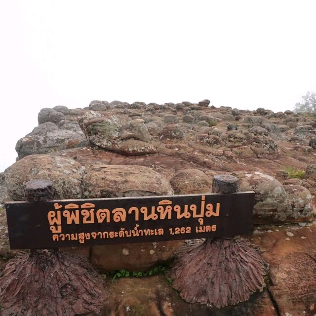 เดินป่าหน้าฝน ลานหินปุ่ม - ผาชูธง ภูหินร่องกล้า