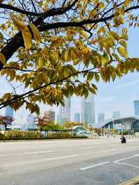 All way Incheon