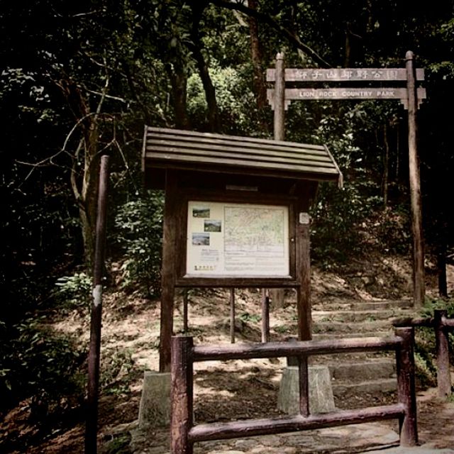 🏞️ 獅子山郊遊體驗★自然與夜景之美