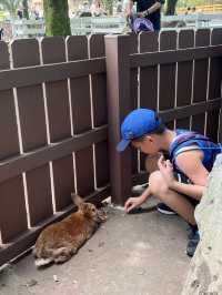 近距離餵動物嘅難忘體驗 