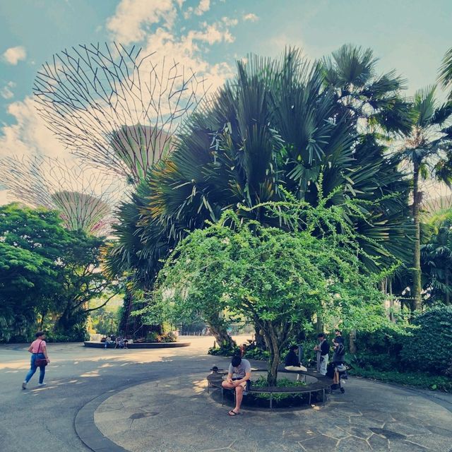 Gardens by the Bay ：白日綠意與夜晚燈光的完美結合