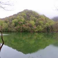 青森白神山地——十二湖
