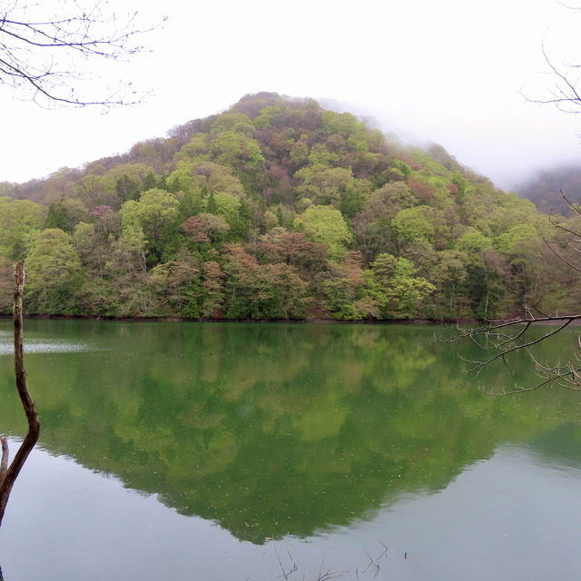 青森白神山地——十二湖