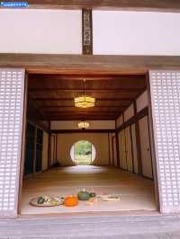 【神奈川県/北鎌倉　秋の明月院も趣がある庭園や風景を堪能できてオススメ！】