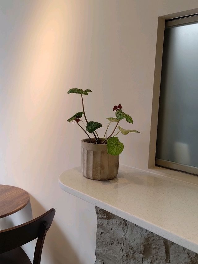 桃園早午餐-大業路上美食-植感森活