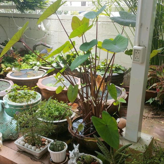 คาเฟ่เล็กๆ สไตล์โฮมมี่ ในหมู่บ้านเมืองทอง 1 