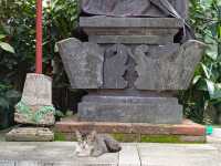 Ubud, the first place that I have visited in Bali