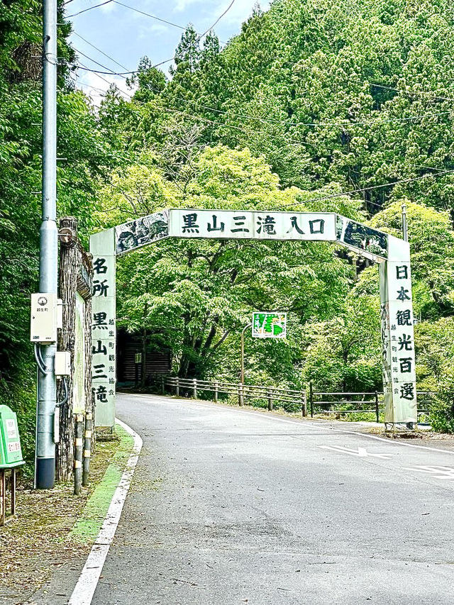 【埼玉県】間近で感じられるマイナスイオン