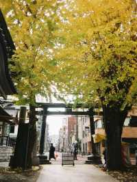 【東京🇯🇵】学問の神様 湯島天満宮