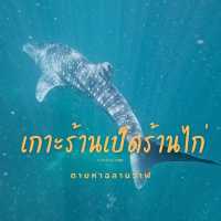 ตามหาฉลามวาฬ ที่เกาะร้านเป็ดร้านไก่ จ.ชุมพ