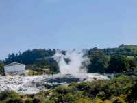 🇳🇿 Whakarewarewa Thermal Valley