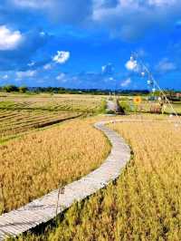 A CAFE ESCAPE IN THE COUNTRYSIDE OF HOI AN