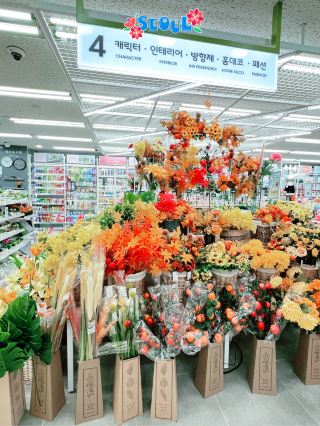 🇰🇷 Fall for Autumn