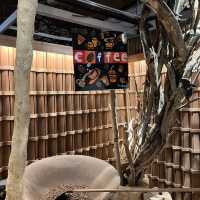 Coolest cafe in Ipoh! 
