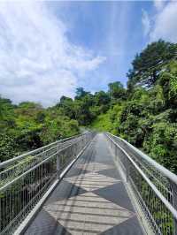 Discovering Telok Blangah Hill Park: A Tranquil Escape in Singapore 