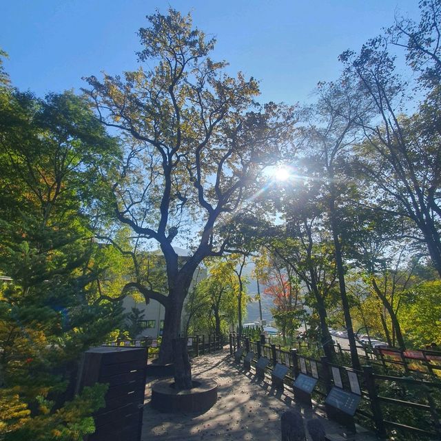 천상의 화원!!!  점봉산 곰배령!!!