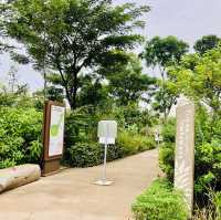 Visit to Singapore 🇸🇬 Neighborhood Sembawang Hot Spring Park