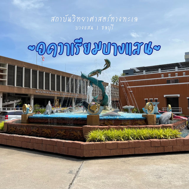 อควาเรียมบางแสน