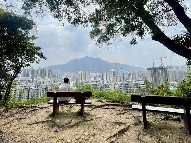 香港千島湖-景色如畫，難度較低，一家大細都可以享受郊遊樂趣
