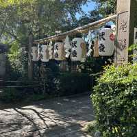 【大阪/天王寺】一生に一度願いが叶う⛩️