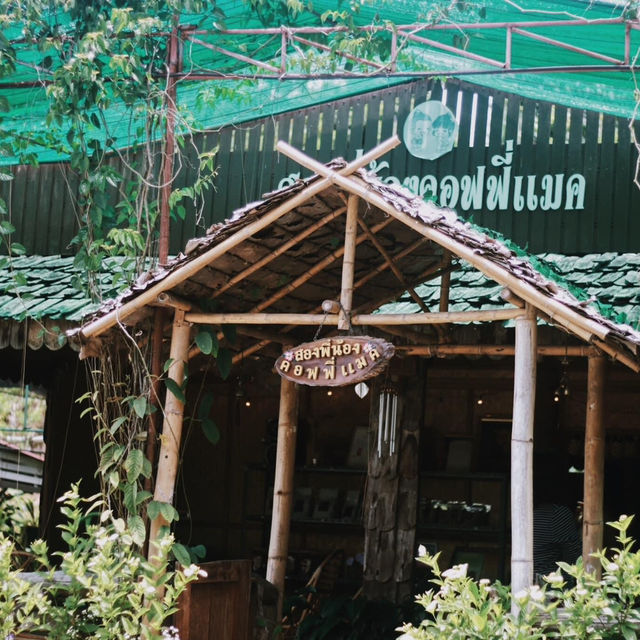 แม่แจ๋ม…ลำปาง 🌱✨ เมืองที่ไม่หมุนตามกาลเวลา 