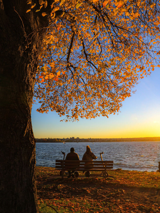 【バンクーバー🇨🇦】秋のビーチでゆったり紅葉狩り🍁