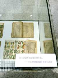 Exploring the Treasures of Shenzhen Library