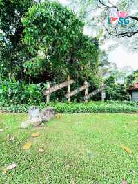 🇸🇬 Berry welcome to Bukit Batok Nature Park