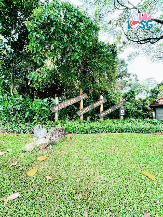 🇸🇬 Berry welcome to Bukit Batok Nature Park