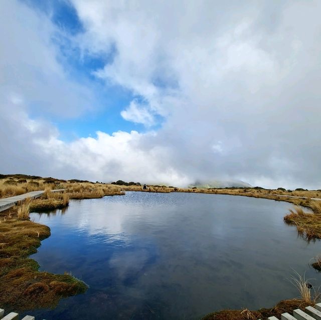 紐西蘭北島3天 從陶波到小富士