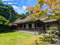 東大寺與梅花鹿，奈良2天1夜行程分享