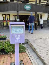 【カラフル💐北海道・富良野お花畑🪻】 