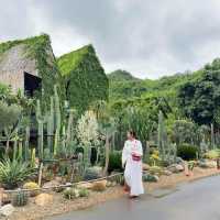 คาเฟ่กาญจนบุรี •  CHAN nature cafe'🌵🌾