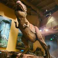 @ FERNBANK MUSEUM OF NATURAL HISTORY.