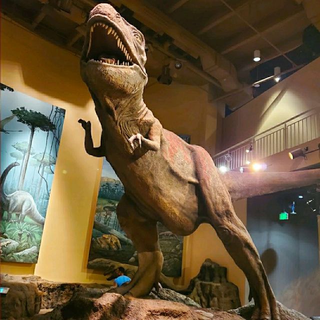 @ FERNBANK MUSEUM OF NATURAL HISTORY.