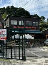 【福岡キャンプ】愛犬と泊まったり食事ができる施設