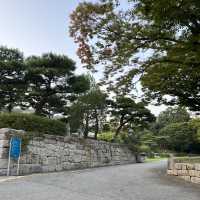 역사데이트 하기 좋은 국립청주박물관 압도적인 분위기 ‼️