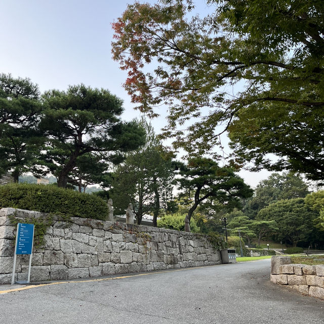 역사데이트 하기 좋은 국립청주박물관 압도적인 분위기 ‼️