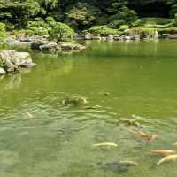 不要錯過大濠公園內的漂亮日式庭園