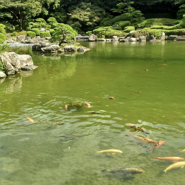 不要錯過大濠公園內的漂亮日式庭園